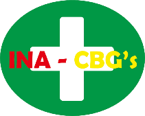 logo ina-cbgs